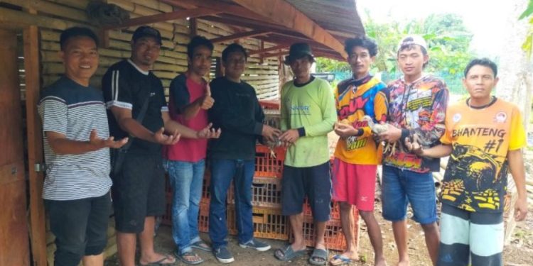 Ratusan Itik dan Ayam Disalurkan untuk Petani di Empat Lawang, Dorong Ketahanan Pangan Keluarga