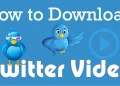 Twitter Downloader & Download Video FB Tanpa Watermark