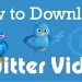 Twitter Downloader & Download Video FB Tanpa Watermark