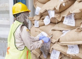 Kopi Sumsel Tembus Pasar Malaysia, Karantina Pastikan Bebas Hama dan Aman Ekspor