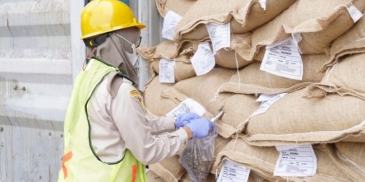 Kopi Sumsel Tembus Pasar Malaysia, Karantina Pastikan Bebas Hama dan Aman Ekspor