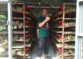 Dari Lahan Bekas Tambang, Agus Kholik Ubah Hobi Ternak Puyuh Jadi Sumber Ekonomi Warga